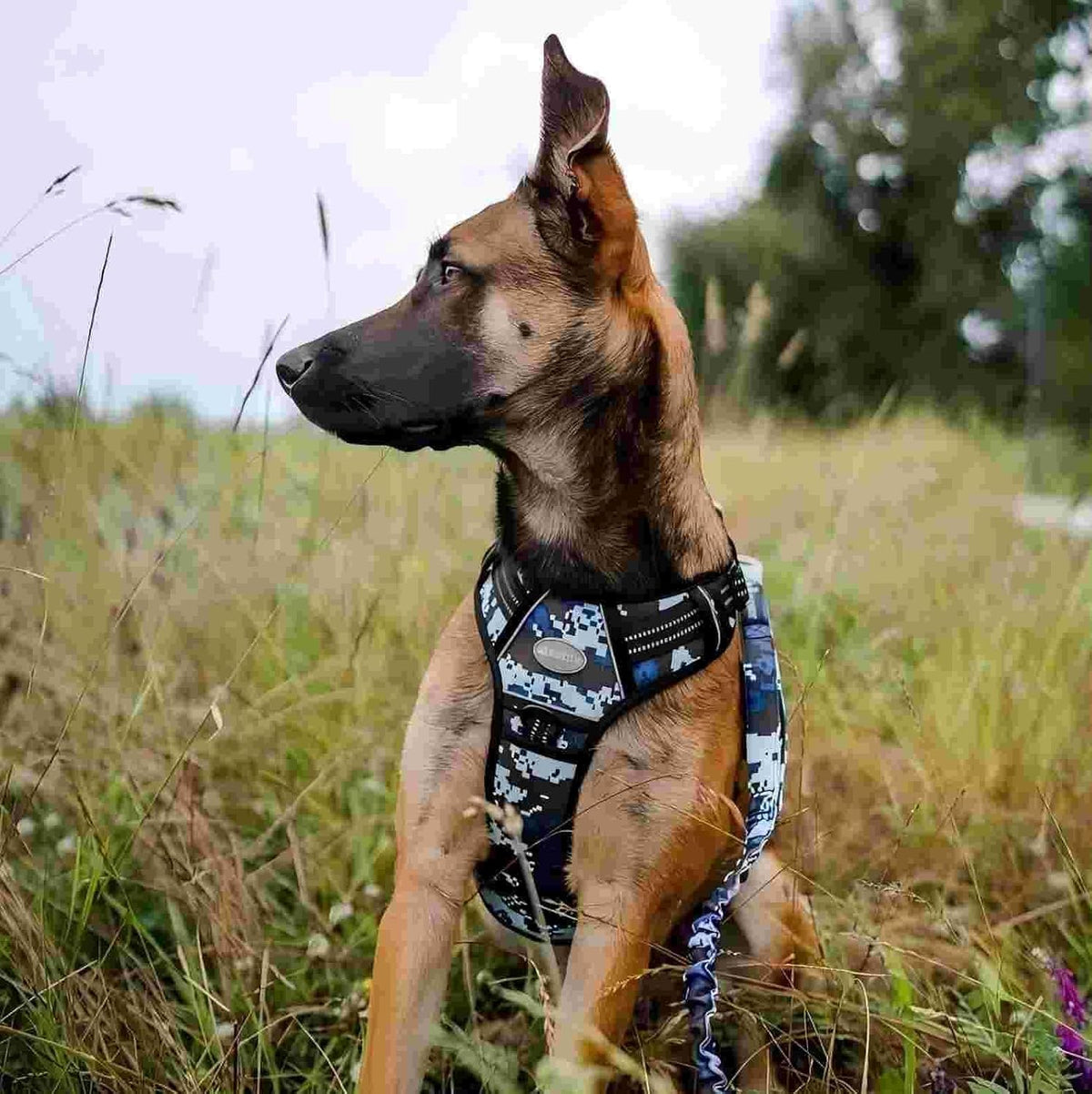 Auroth Tactical Dog Harness for Large Dogs No Pull Adjustable Pet Harness Reflective K9 Working Training Easy Control Pet Vest Military Service Dog Harnesses Army Yellow L | Easy Control with handle, Adjustable, Reflective, Military K9, for German