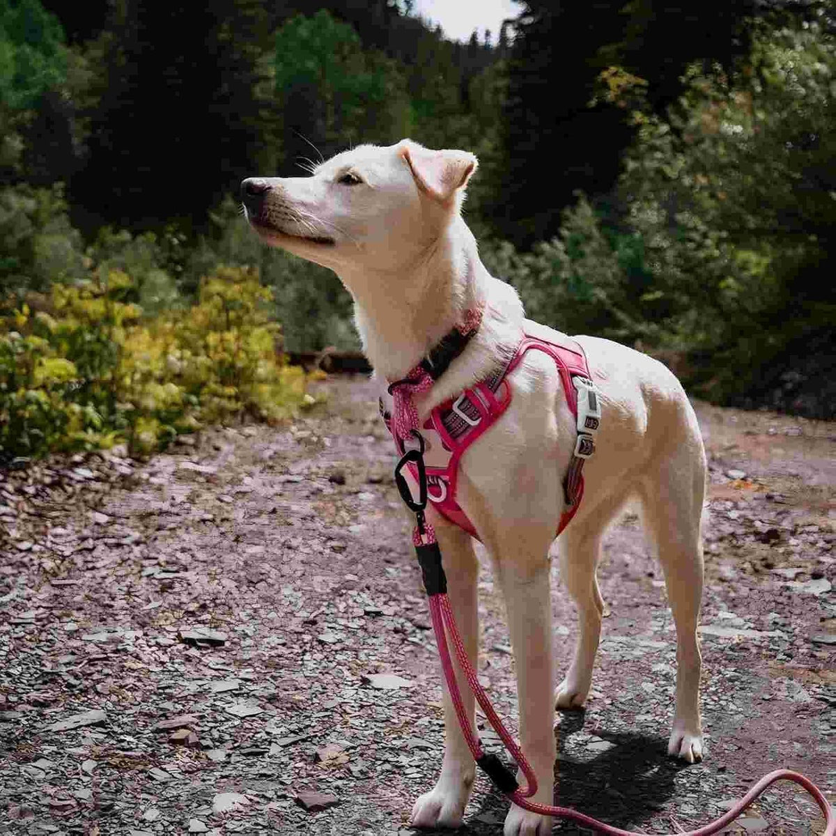 Auroth Tactical Dog Harness for Large Dogs No Pull Adjustable Pet Harness Reflective K9 Working Training Easy Control Pet Vest Military Service Dog Harnesses Army Yellow L | Easy Control with handle, Adjustable, Reflective, Military K9, for German
