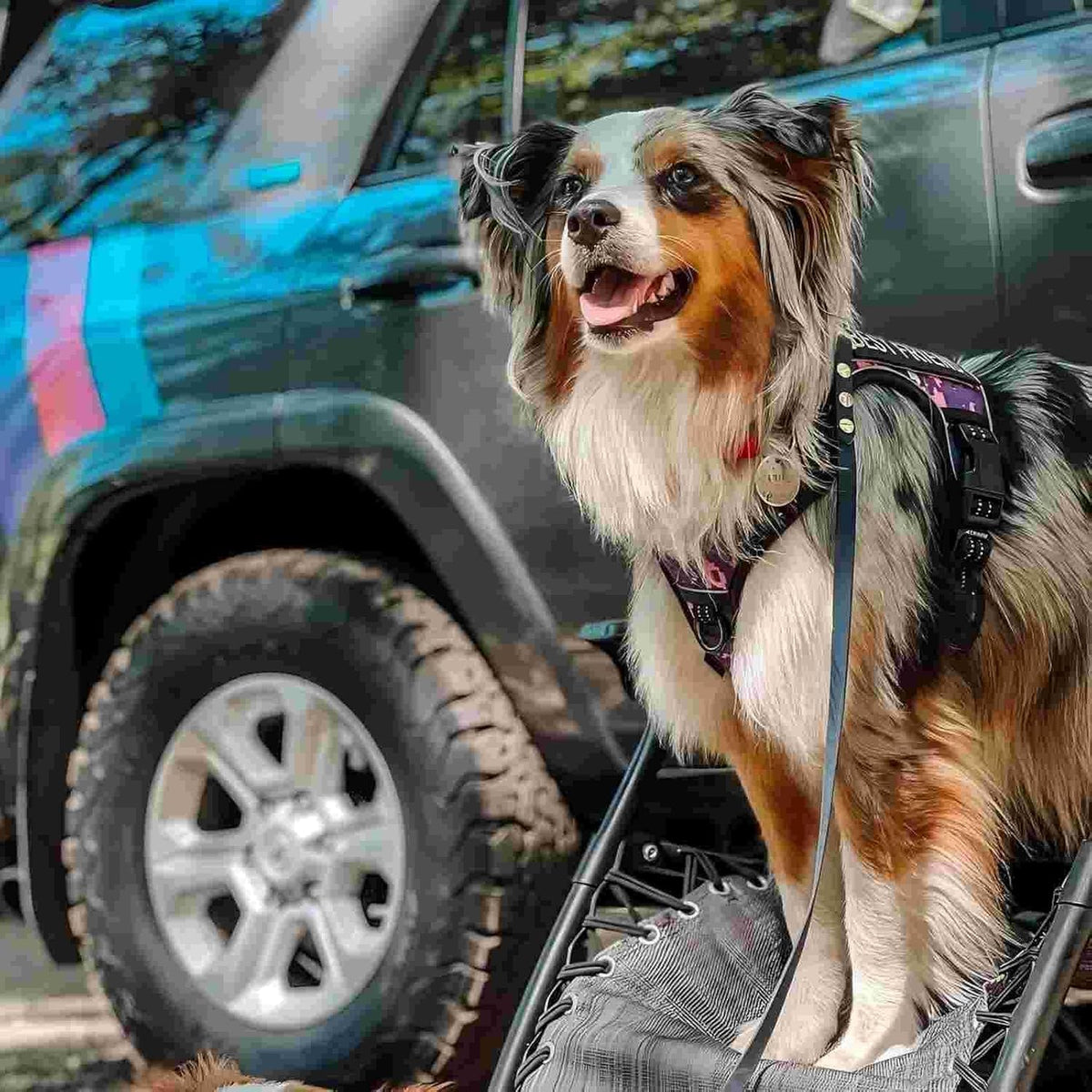 Auroth Tactical Dog Harness for Large Dogs No Pull Adjustable Pet Harness Reflective K9 Working Training Easy Control Pet Vest Military Service Dog Harnesses Army Yellow L | Easy Control with handle, Adjustable, Reflective, Military K9, for German