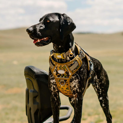 Auroth Tactical Dog Harness for Large Dogs No Pull Adjustable Pet Harness Reflective K9 Working Training Easy Control Pet Vest Military Service Dog Harnesses Army Yellow L | Easy Control with handle, Adjustable, Reflective, Military K9, for German