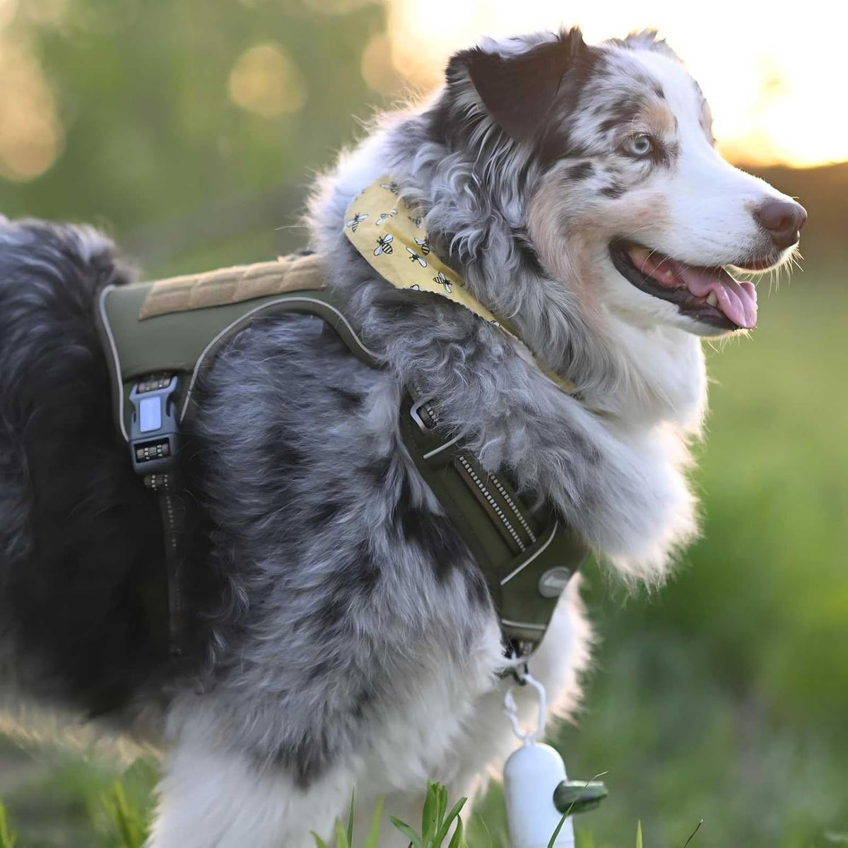 Auroth Tactical Dog Harness for Large Dogs No Pull Adjustable Pet Harness Reflective K9 Working Training Easy Control Pet Vest Military Service Dog Harnesses Army Yellow L | Easy Control with handle, Adjustable, Reflective, Military K9, for German