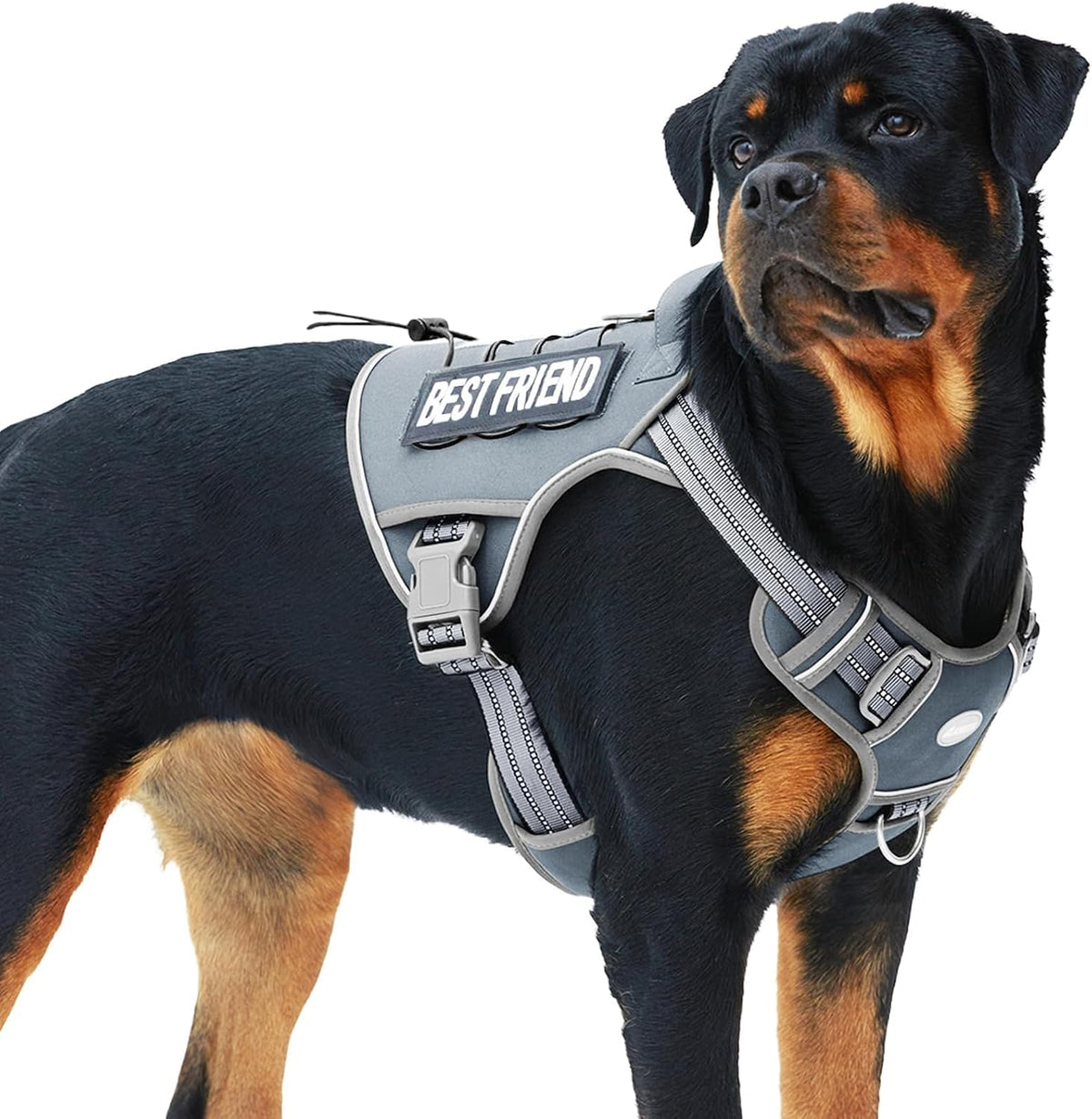 Auroth Tactical Dog Harness for Large Dogs No Pull Adjustable Pet Harness Reflective K9 Working Training Easy Control Pet Vest Military Service Dog Harnesses Army Yellow L | Easy Control with handle, Adjustable, Reflective, Military K9, for German