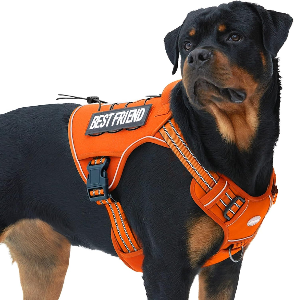 Auroth Tactical Dog Harness for Large Dogs No Pull Adjustable Pet Harness Reflective K9 Working Training Easy Control Pet Vest Military Service Dog Harnesses Army Yellow L | Easy Control with handle, Adjustable, Reflective, Military K9, for German