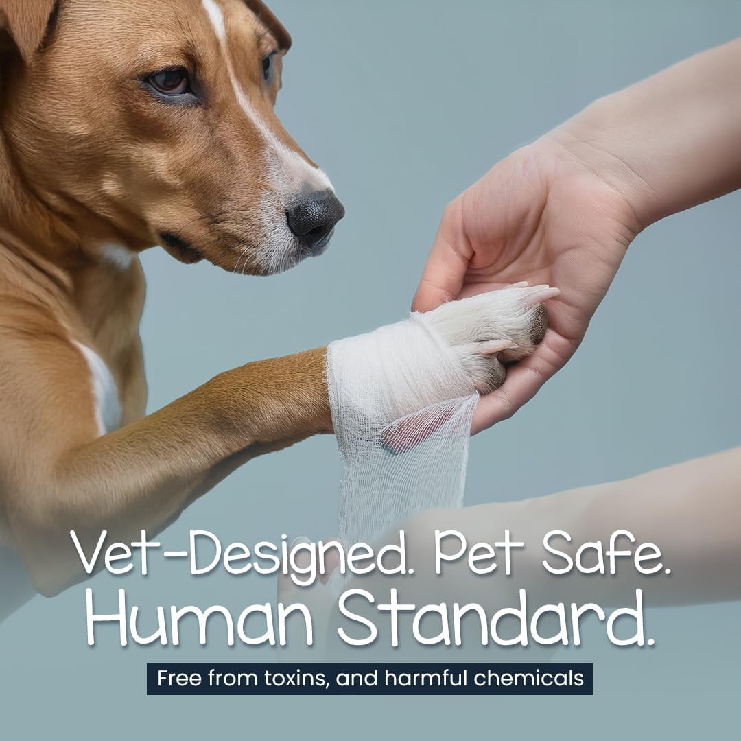 Eco Pet First Aid Kit for Dogs and Cats. Cat and Dog First Aid Kit with Bandages, Gauze Pads & Glove. Emergency Kit for Animals Including Puppy