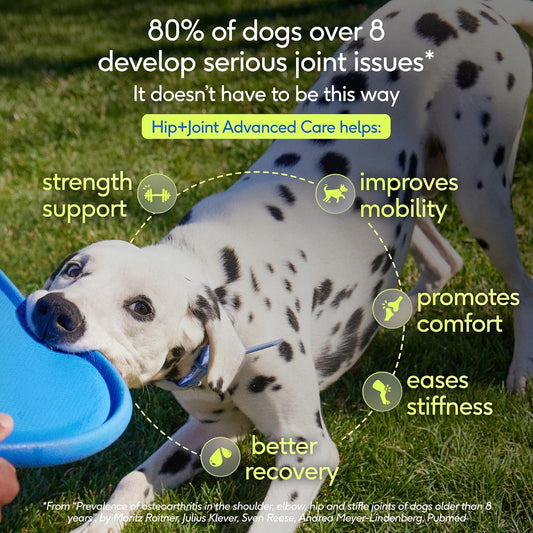 Hip and Joint Supplement Dogs - Powder with UC-II Collagen and HMB - Senior and Large Breed Dog Joint Support - Made in USA - 30 Scoops