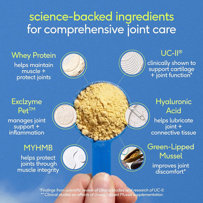 Hip and Joint Supplement Dogs - Powder with UC-II Collagen and HMB - Senior and Large Breed Dog Joint Support - Made in USA - 30 Scoops