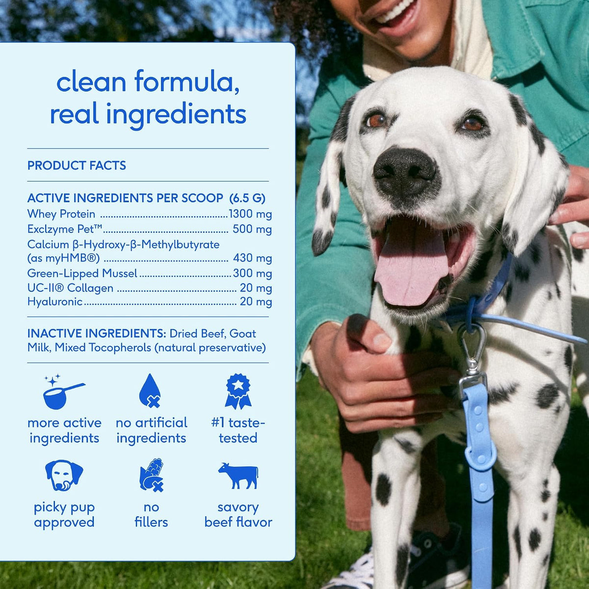 Hip and Joint Supplement Dogs - Powder with UC-II Collagen and HMB - Senior and Large Breed Dog Joint Support - Made in USA - 30 Scoops