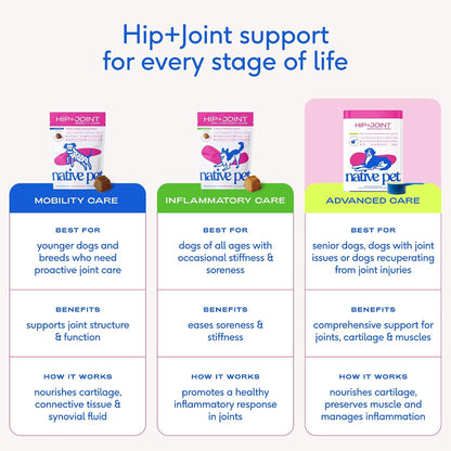 Hip and Joint Supplement Dogs - Powder with UC-II Collagen and HMB - Senior and Large Breed Dog Joint Support - Made in USA - 30 Scoops