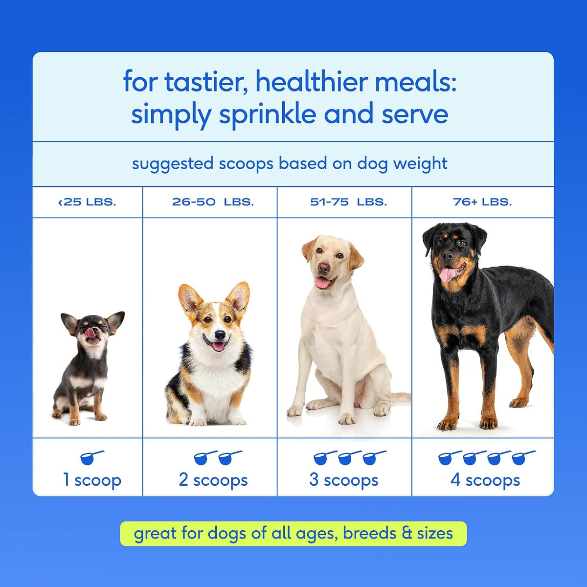 Hip and Joint Supplement Dogs - Powder with UC-II Collagen and HMB - Senior and Large Breed Dog Joint Support - Made in USA - 30 Scoops