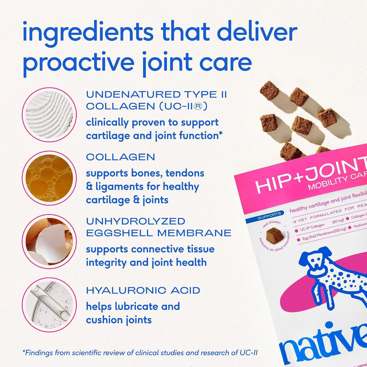 Hip and Joint Supplement Dogs - Powder with UC-II Collagen and HMB - Senior and Large Breed Dog Joint Support - Made in USA - 30 Scoops