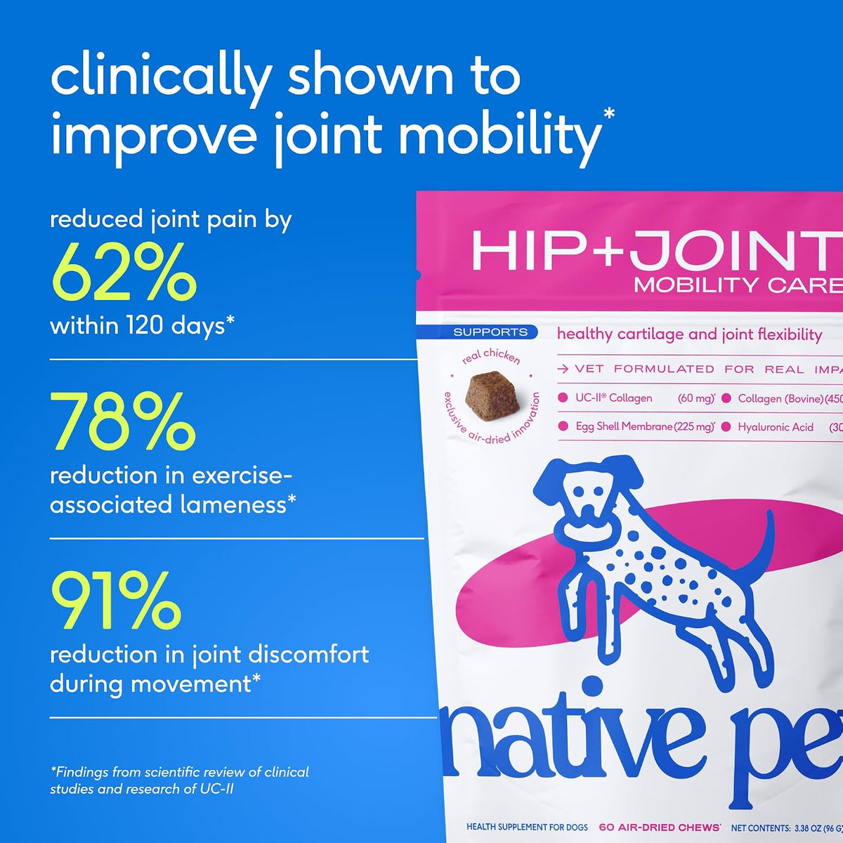 Hip and Joint Supplement Dogs - Powder with UC-II Collagen and HMB - Senior and Large Breed Dog Joint Support - Made in USA - 30 Scoops