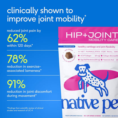 Hip and Joint Supplement Dogs - Powder with UC-II Collagen and HMB - Senior and Large Breed Dog Joint Support - Made in USA - 30 Scoops
