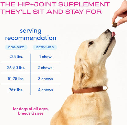 Hip and Joint Supplement Dogs - Powder with UC-II Collagen and HMB - Senior and Large Breed Dog Joint Support - Made in USA - 30 Scoops