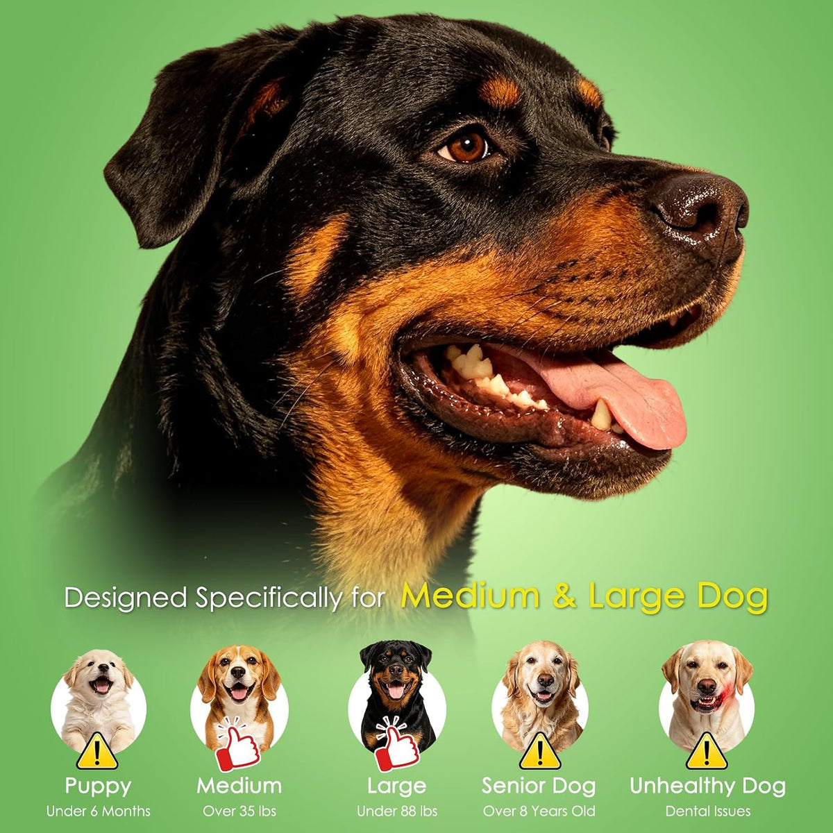 Tough Dog Chew Toys for Medium & Large Aggressive Chewers, 2 Pack