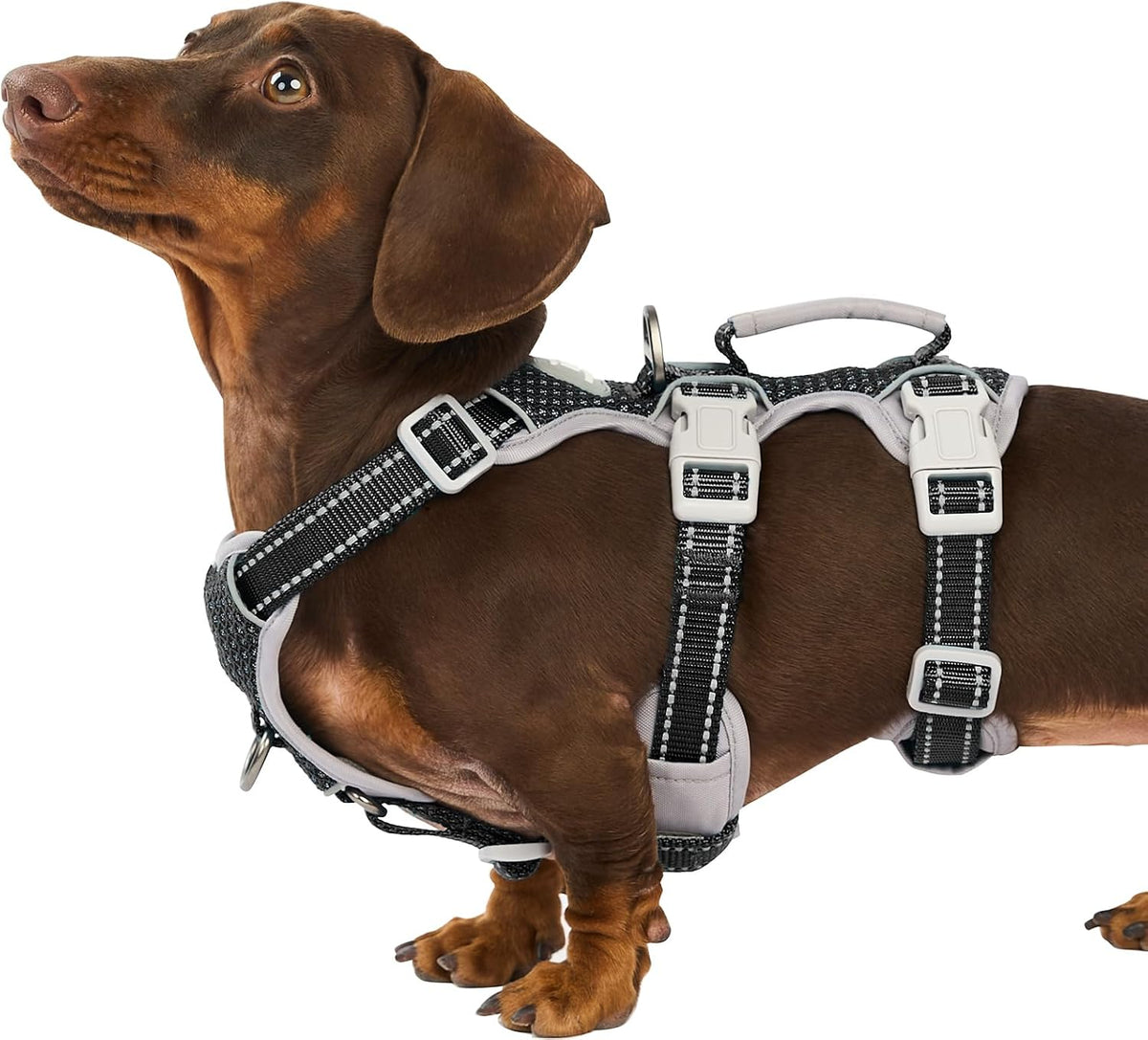 Escape Proof Dog Harness, No Pull Reflective Harness with Lift Handle, Adjustable Pet Vest with Front and Back Leash Clips for Small Medium Large Dogs Walking Hiking Training (Black,L)