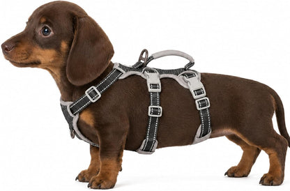 Escape Proof Dog Harness, No Pull Reflective Harness with Lift Handle, Adjustable Pet Vest with Front and Back Leash Clips for Small Medium Large Dogs Walking Hiking Training (Black,L)