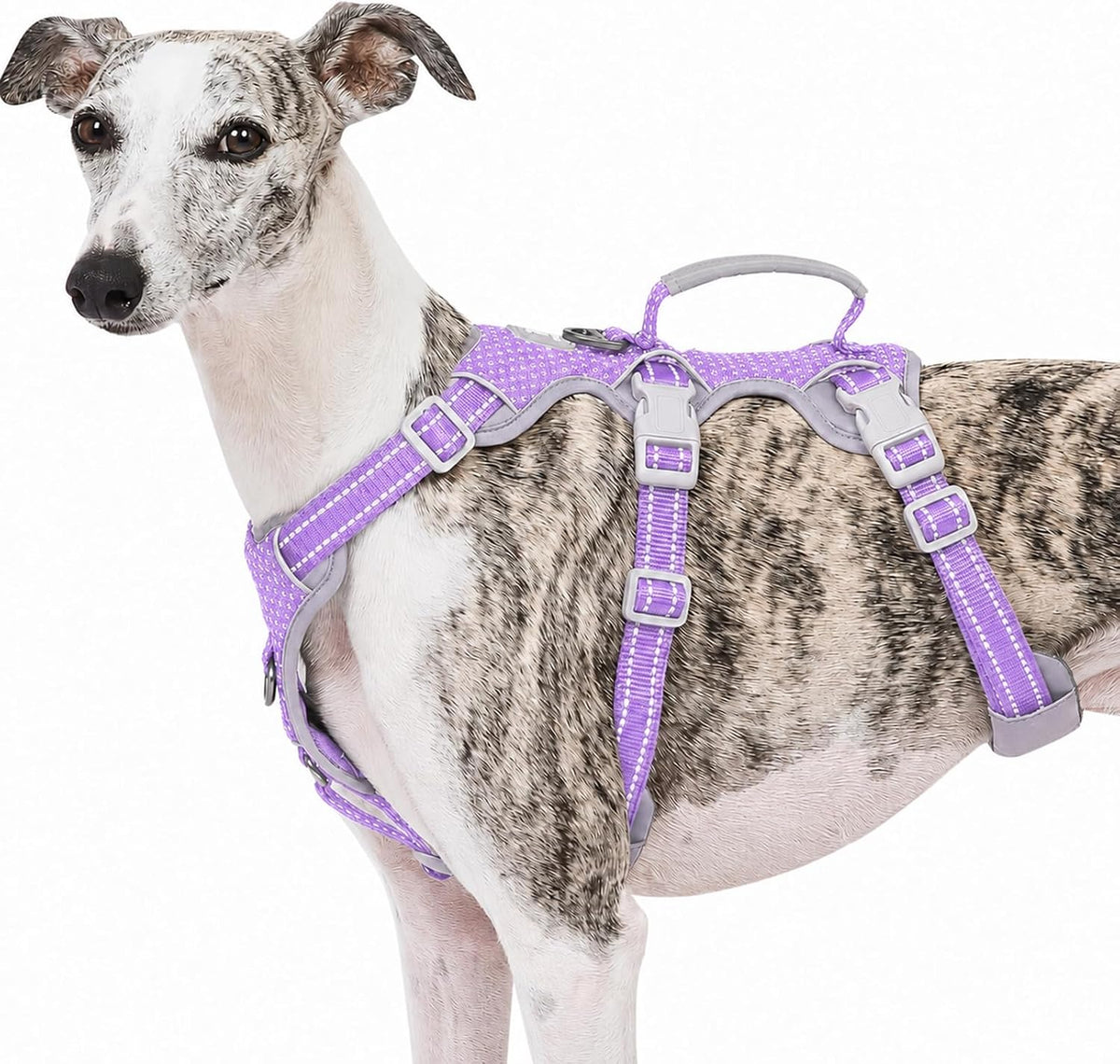 Escape Proof Dog Harness, No Pull Reflective Harness with Lift Handle, Adjustable Pet Vest with Front and Back Leash Clips for Small Medium Large Dogs Walking Hiking Training (Black,L)
