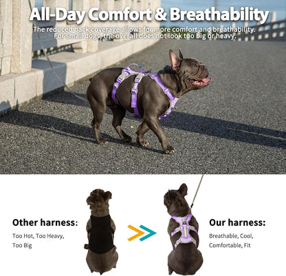 Escape Proof Dog Harness, No Pull Reflective Harness with Lift Handle, Adjustable Pet Vest with Front and Back Leash Clips for Small Medium Large Dogs Walking Hiking Training (Black,L)