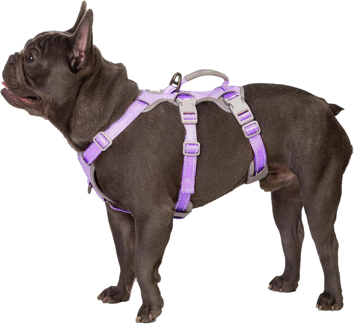 Escape Proof Dog Harness, No Pull Reflective Harness with Lift Handle, Adjustable Pet Vest with Front and Back Leash Clips for Small Medium Large Dogs Walking Hiking Training (Black,L)