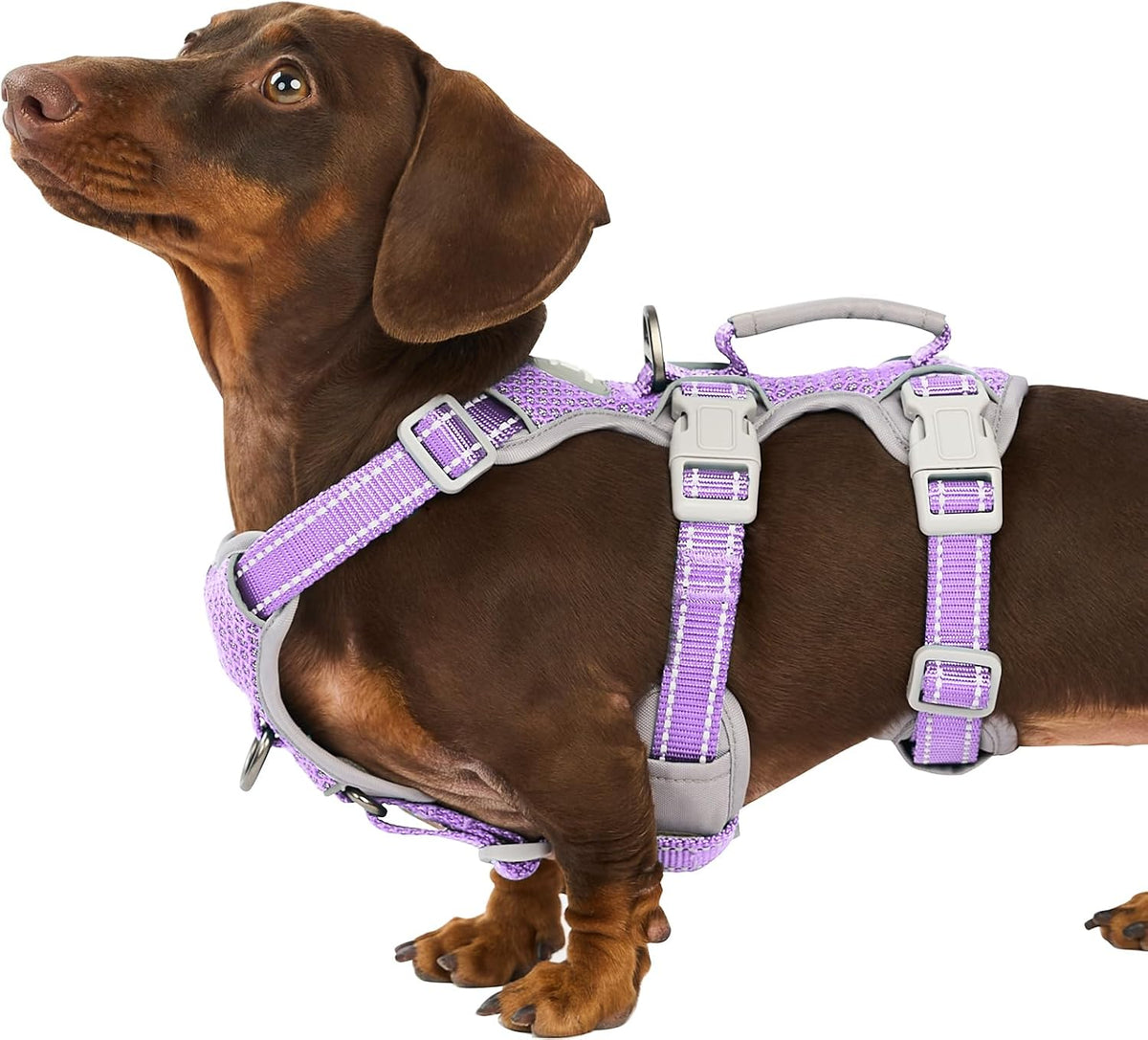 Escape Proof Dog Harness, No Pull Reflective Harness with Lift Handle, Adjustable Pet Vest with Front and Back Leash Clips for Small Medium Large Dogs Walking Hiking Training (Black,L)