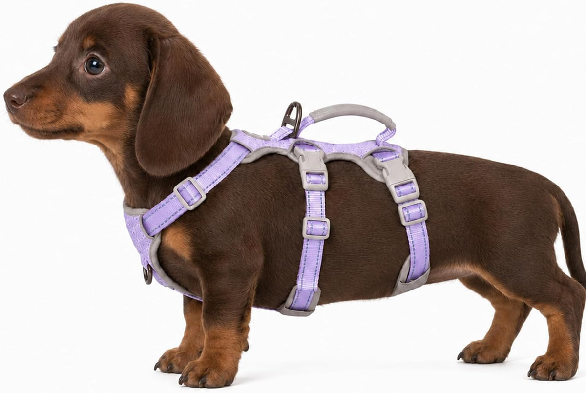 Escape Proof Dog Harness, No Pull Reflective Harness with Lift Handle, Adjustable Pet Vest with Front and Back Leash Clips for Small Medium Large Dogs Walking Hiking Training (Black,L)