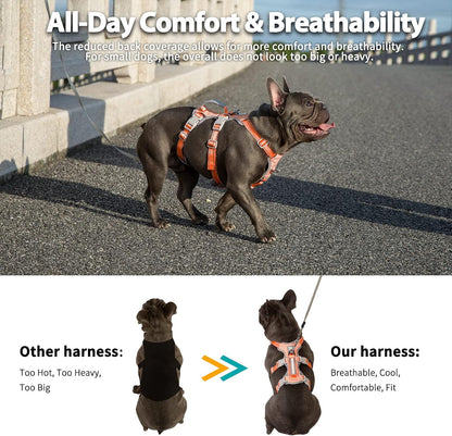 Escape Proof Dog Harness, No Pull Reflective Harness with Lift Handle, Adjustable Pet Vest with Front and Back Leash Clips for Small Medium Large Dogs Walking Hiking Training (Black,L)