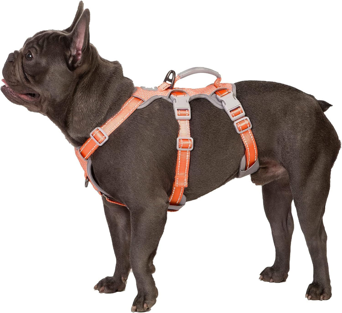 Escape Proof Dog Harness, No Pull Reflective Harness with Lift Handle, Adjustable Pet Vest with Front and Back Leash Clips for Small Medium Large Dogs Walking Hiking Training (Black,L)