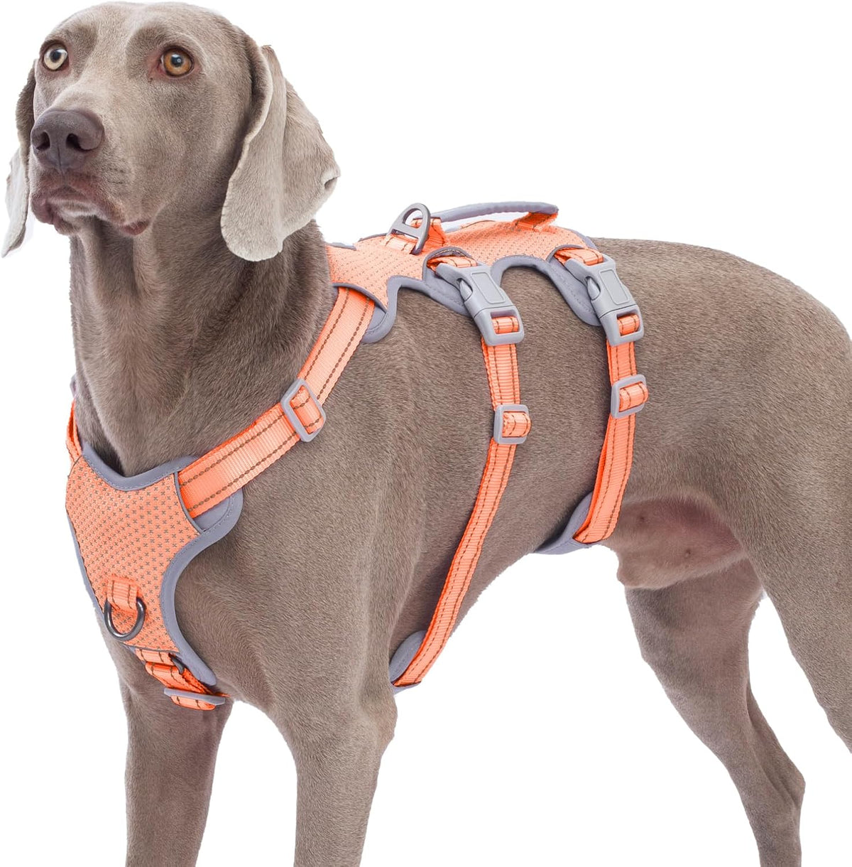 Escape Proof Dog Harness, No Pull Reflective Harness with Lift Handle, Adjustable Pet Vest with Front and Back Leash Clips for Small Medium Large Dogs Walking Hiking Training (Black,L)