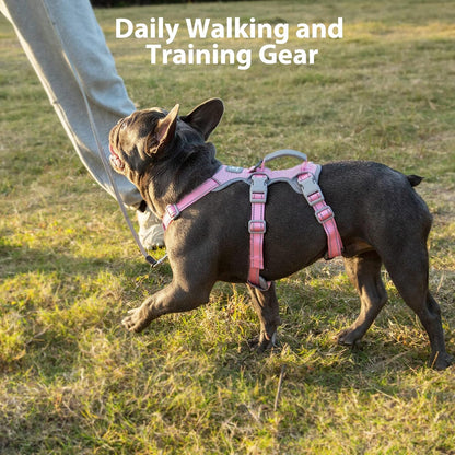 Escape Proof Dog Harness, No Pull Reflective Harness with Lift Handle, Adjustable Pet Vest with Front and Back Leash Clips for Small Medium Large Dogs Walking Hiking Training (Black,L)