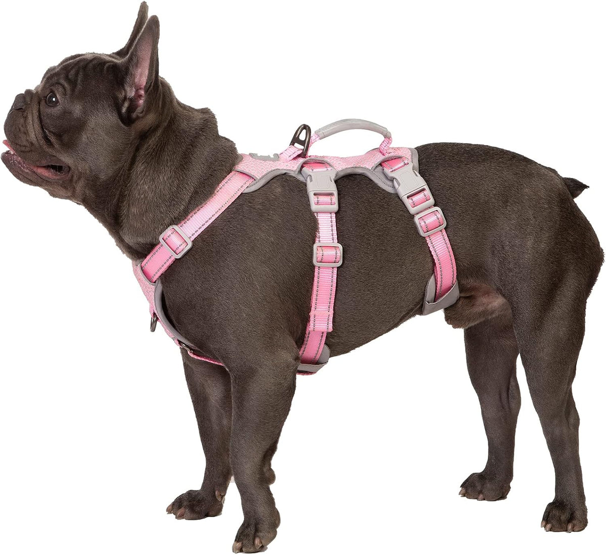 Escape Proof Dog Harness, No Pull Reflective Harness with Lift Handle, Adjustable Pet Vest with Front and Back Leash Clips for Small Medium Large Dogs Walking Hiking Training (Black,L)