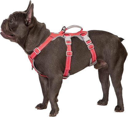 Escape Proof Dog Harness, No Pull Reflective Harness with Lift Handle, Adjustable Pet Vest with Front and Back Leash Clips for Small Medium Large Dogs Walking Hiking Training (Black,L)