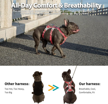 Escape Proof Dog Harness, No Pull Reflective Harness with Lift Handle, Adjustable Pet Vest with Front and Back Leash Clips for Small Medium Large Dogs Walking Hiking Training (Black,L)