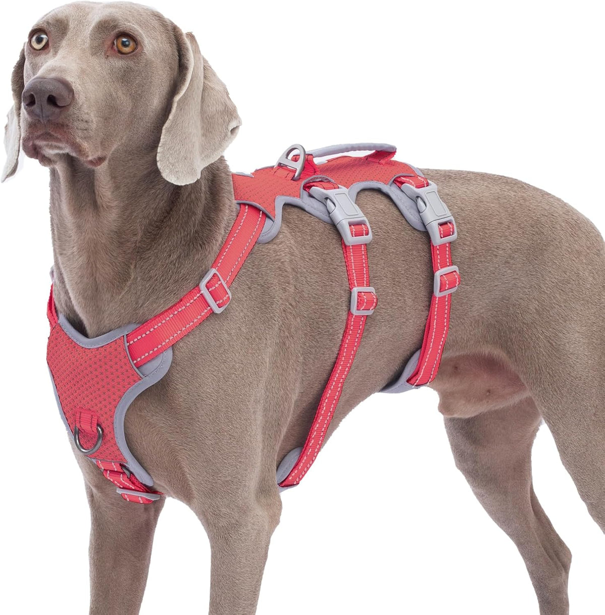 Escape Proof Dog Harness, No Pull Reflective Harness with Lift Handle, Adjustable Pet Vest with Front and Back Leash Clips for Small Medium Large Dogs Walking Hiking Training (Black,L)