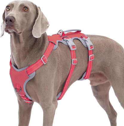 Escape Proof Dog Harness, No Pull Reflective Harness with Lift Handle, Adjustable Pet Vest with Front and Back Leash Clips for Small Medium Large Dogs Walking Hiking Training (Black,L)