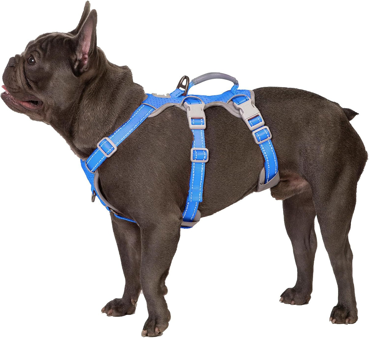 Escape Proof Dog Harness, No Pull Reflective Harness with Lift Handle, Adjustable Pet Vest with Front and Back Leash Clips for Small Medium Large Dogs Walking Hiking Training (Black,L)