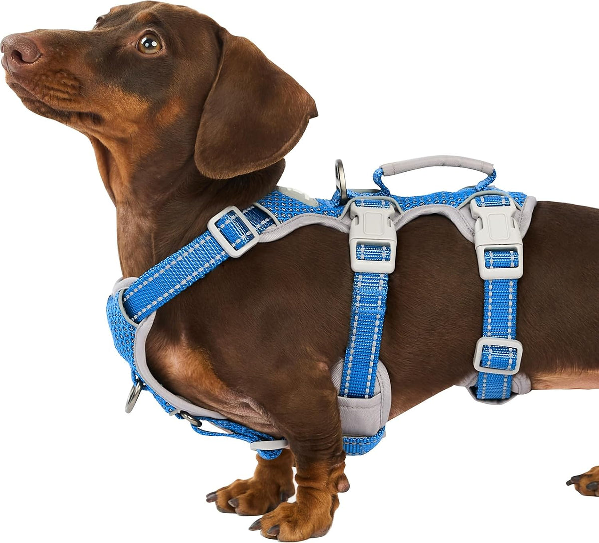 Escape Proof Dog Harness, No Pull Reflective Harness with Lift Handle, Adjustable Pet Vest with Front and Back Leash Clips for Small Medium Large Dogs Walking Hiking Training (Black,L)
