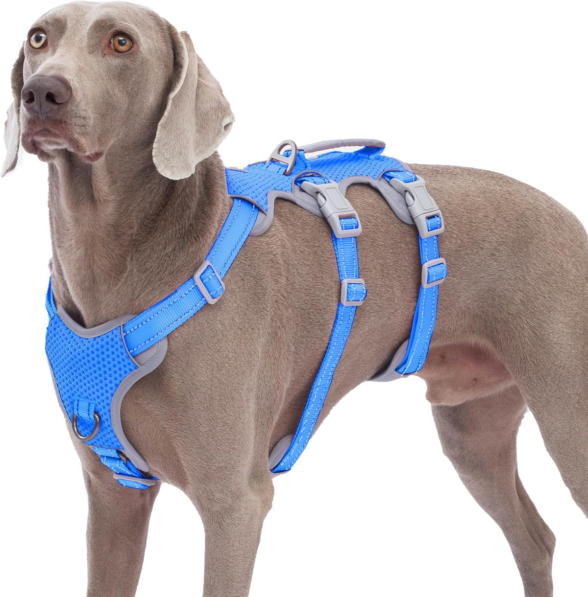 Escape Proof Dog Harness, No Pull Reflective Harness with Lift Handle, Adjustable Pet Vest with Front and Back Leash Clips for Small Medium Large Dogs Walking Hiking Training (Black,L)