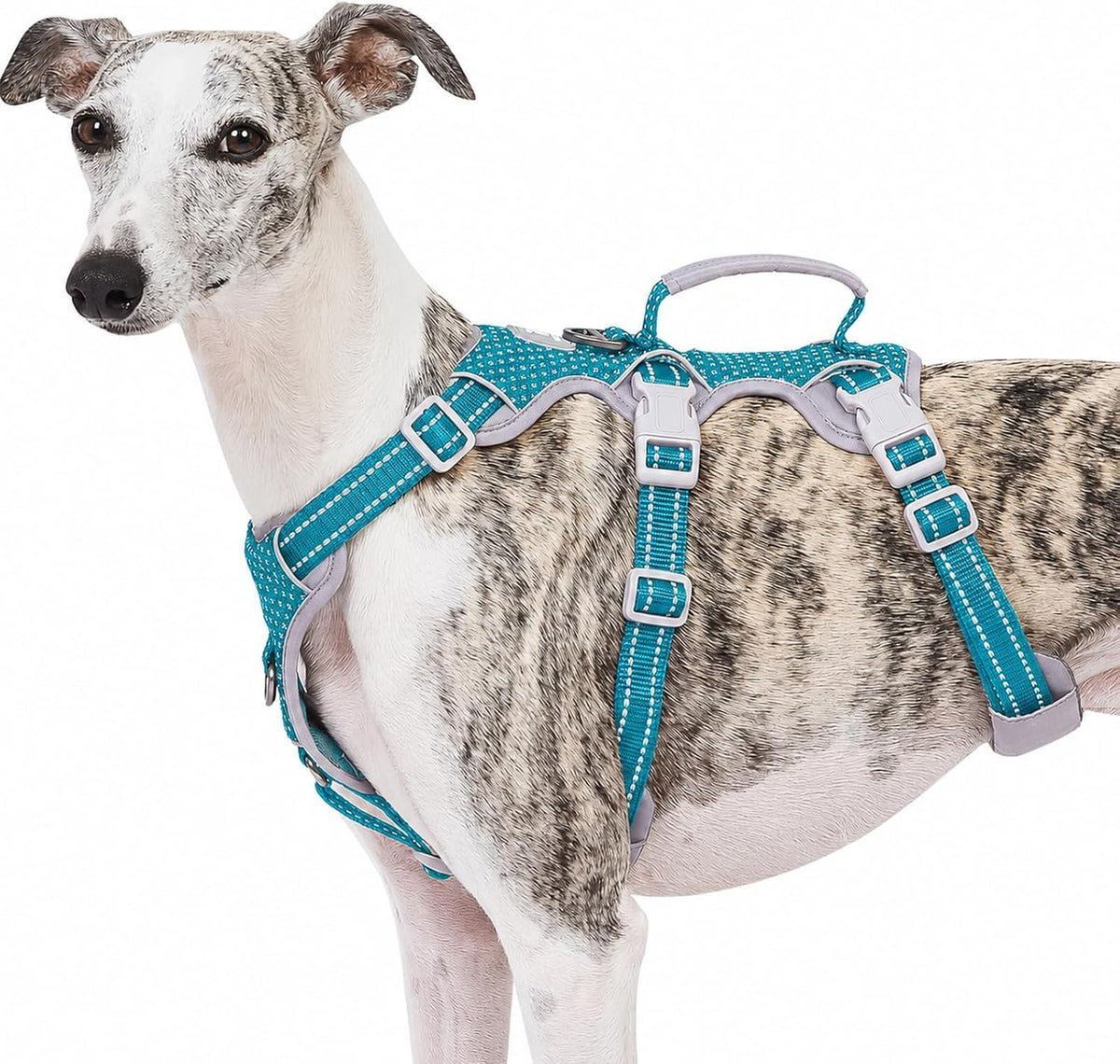 Escape Proof Dog Harness, No Pull Reflective Harness with Lift Handle, Adjustable Pet Vest with Front and Back Leash Clips for Small Medium Large Dogs Walking Hiking Training (Black,L)