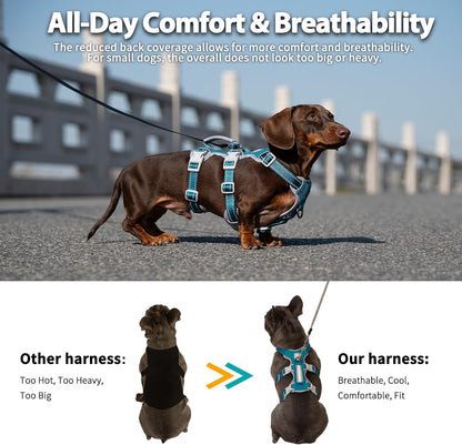 Escape Proof Dog Harness, No Pull Reflective Harness with Lift Handle, Adjustable Pet Vest with Front and Back Leash Clips for Small Medium Large Dogs Walking Hiking Training (Black,L)