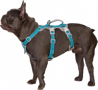 Escape Proof Dog Harness, No Pull Reflective Harness with Lift Handle, Adjustable Pet Vest with Front and Back Leash Clips for Small Medium Large Dogs Walking Hiking Training (Black,L)