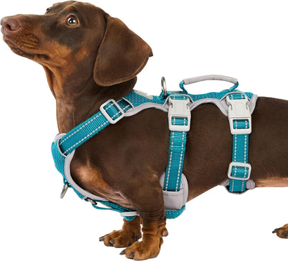 Escape Proof Dog Harness, No Pull Reflective Harness with Lift Handle, Adjustable Pet Vest with Front and Back Leash Clips for Small Medium Large Dogs Walking Hiking Training (Black,L)