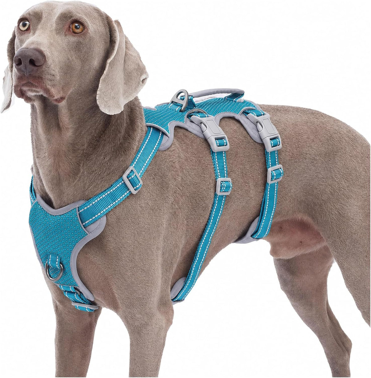 Escape Proof Dog Harness, No Pull Reflective Harness with Lift Handle, Adjustable Pet Vest with Front and Back Leash Clips for Small Medium Large Dogs Walking Hiking Training (Black,L)