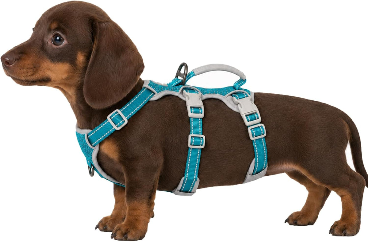 Escape Proof Dog Harness, No Pull Reflective Harness with Lift Handle, Adjustable Pet Vest with Front and Back Leash Clips for Small Medium Large Dogs Walking Hiking Training (Black,L)