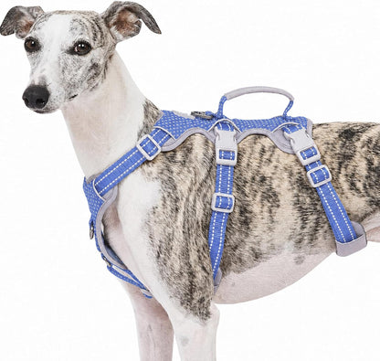 Escape Proof Dog Harness, No Pull Reflective Harness with Lift Handle, Adjustable Pet Vest with Front and Back Leash Clips for Small Medium Large Dogs Walking Hiking Training (Black,L)