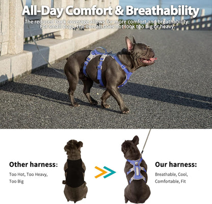 Escape Proof Dog Harness, No Pull Reflective Harness with Lift Handle, Adjustable Pet Vest with Front and Back Leash Clips for Small Medium Large Dogs Walking Hiking Training (Black,L)