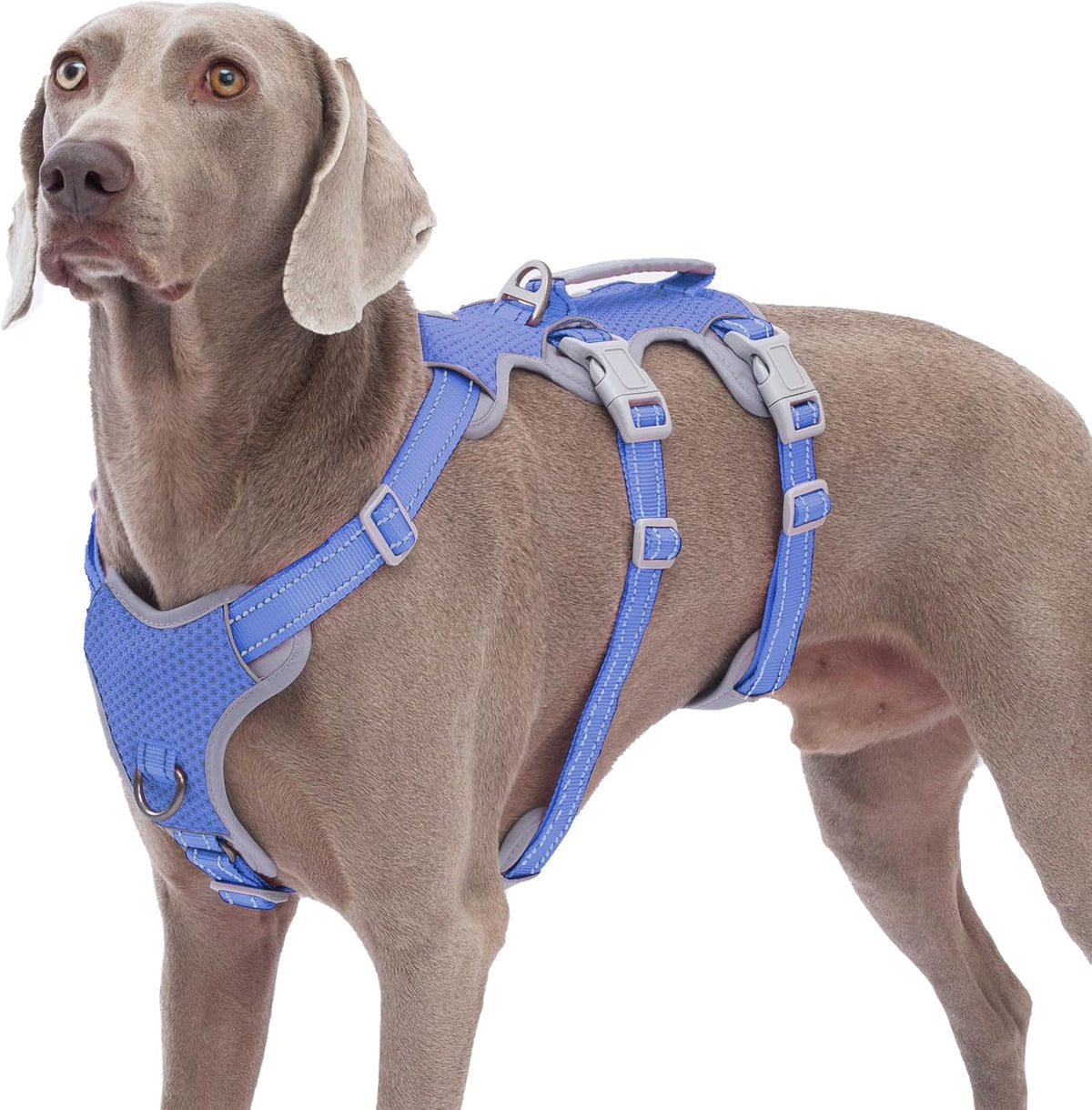 Escape Proof Dog Harness, No Pull Reflective Harness with Lift Handle, Adjustable Pet Vest with Front and Back Leash Clips for Small Medium Large Dogs Walking Hiking Training (Black,L)