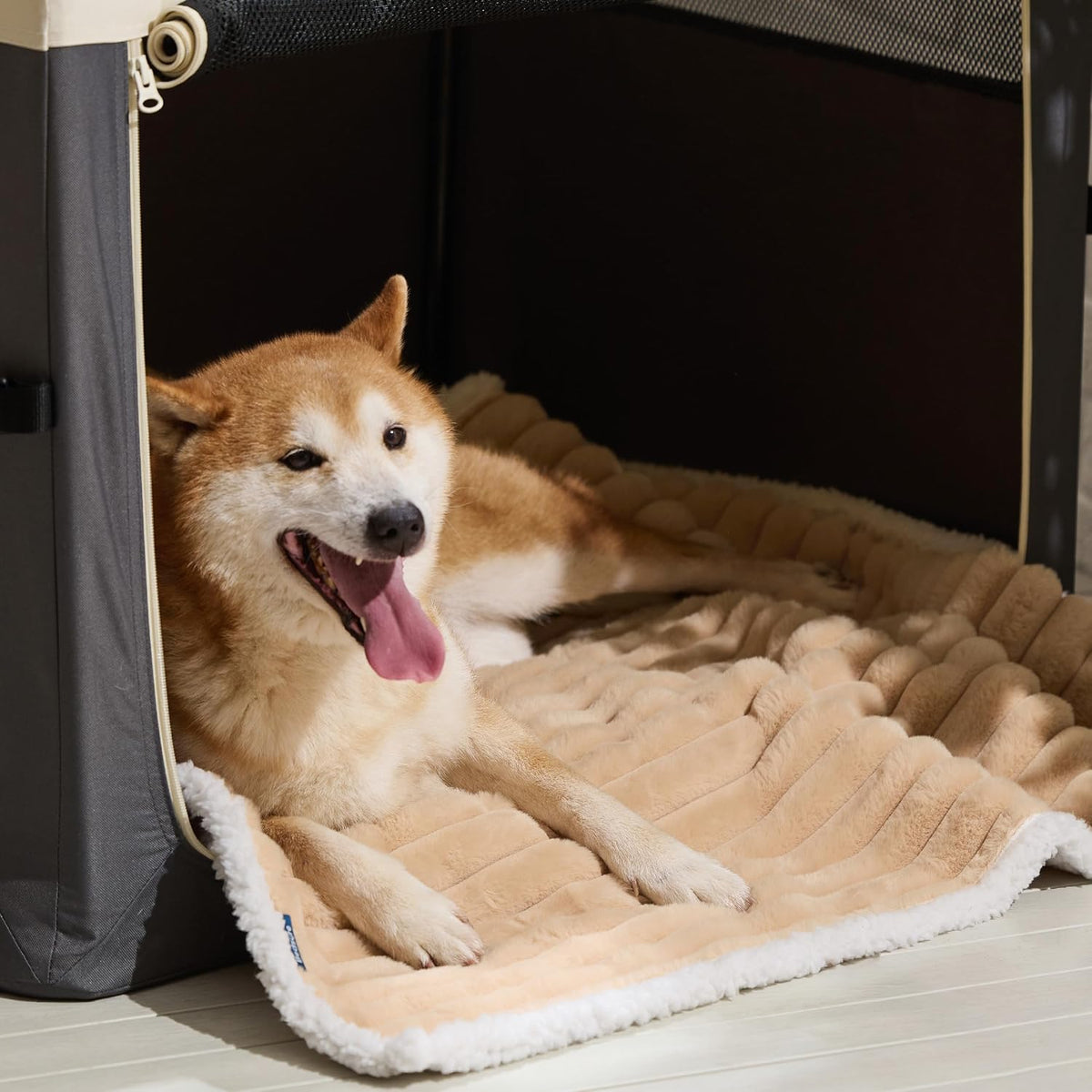 ComfyFleece™ Waterproof Dog Blankets for Large Dogs,50x60 Cream | Soft Plush Couch Cover,Washable Corduroy Fleece for Furniture Protector,Cozy Calming Reversible Pet Blanket for Senior Dogs