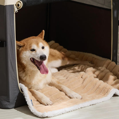 ComfyFleece™ Waterproof Dog Blankets for Large Dogs,50x60 Cream | Soft Plush Couch Cover,Washable Corduroy Fleece for Furniture Protector,Cozy Calming Reversible Pet Blanket for Senior Dogs