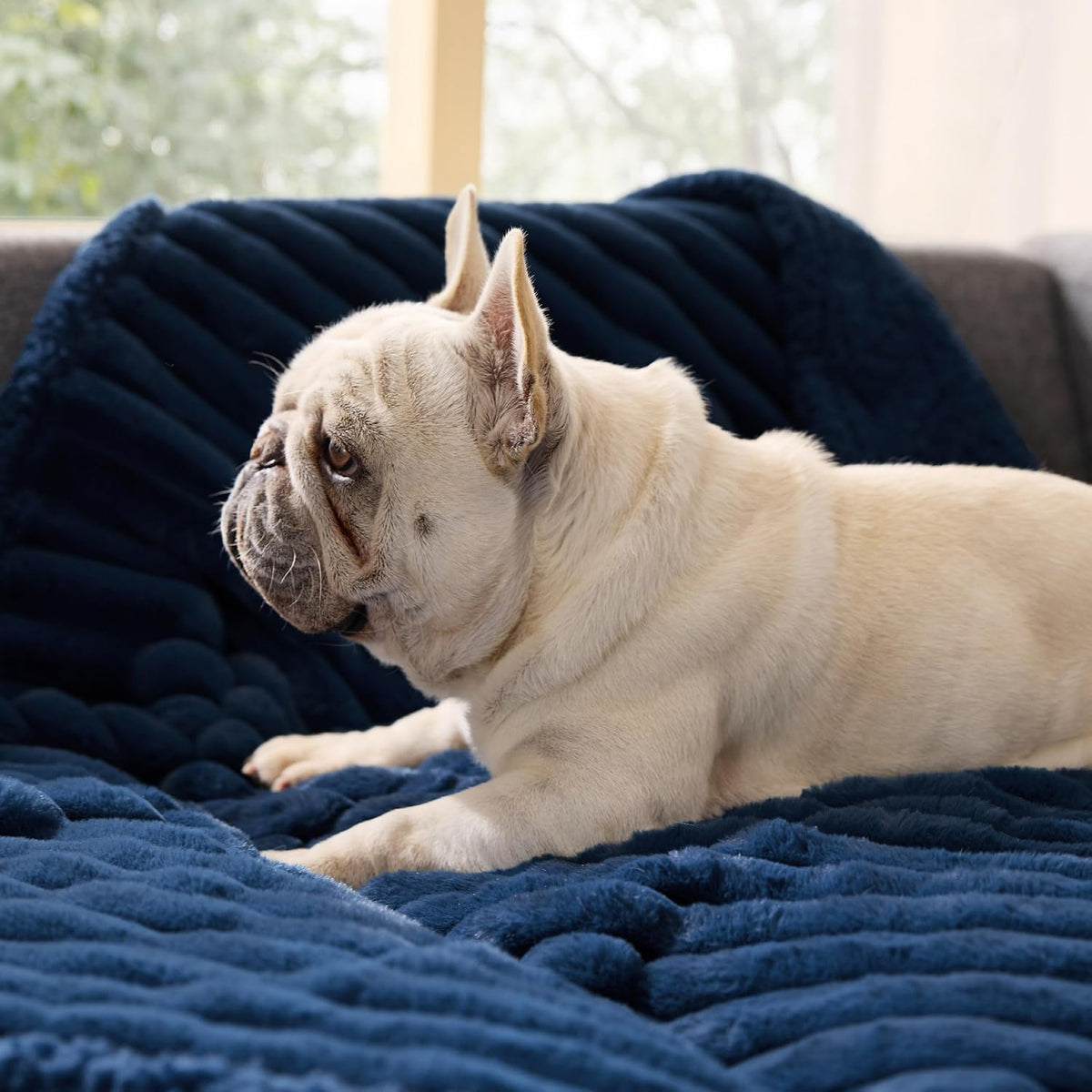 ComfyFleece™ Waterproof Dog Blankets for Large Dogs,50x60 Cream | Soft Plush Couch Cover,Washable Corduroy Fleece for Furniture Protector,Cozy Calming Reversible Pet Blanket for Senior Dogs