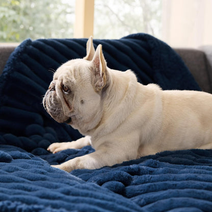 ComfyFleece™ Waterproof Dog Blankets for Large Dogs,50x60 Cream | Soft Plush Couch Cover,Washable Corduroy Fleece for Furniture Protector,Cozy Calming Reversible Pet Blanket for Senior Dogs